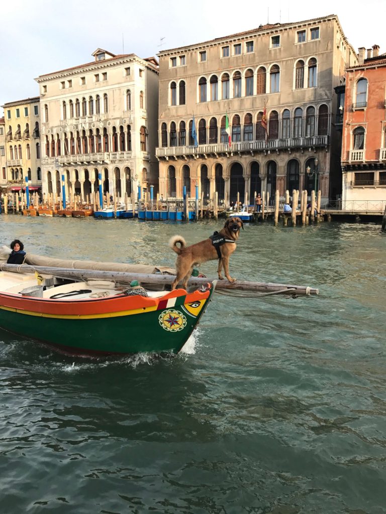 Plavba po kanále v Benátkách